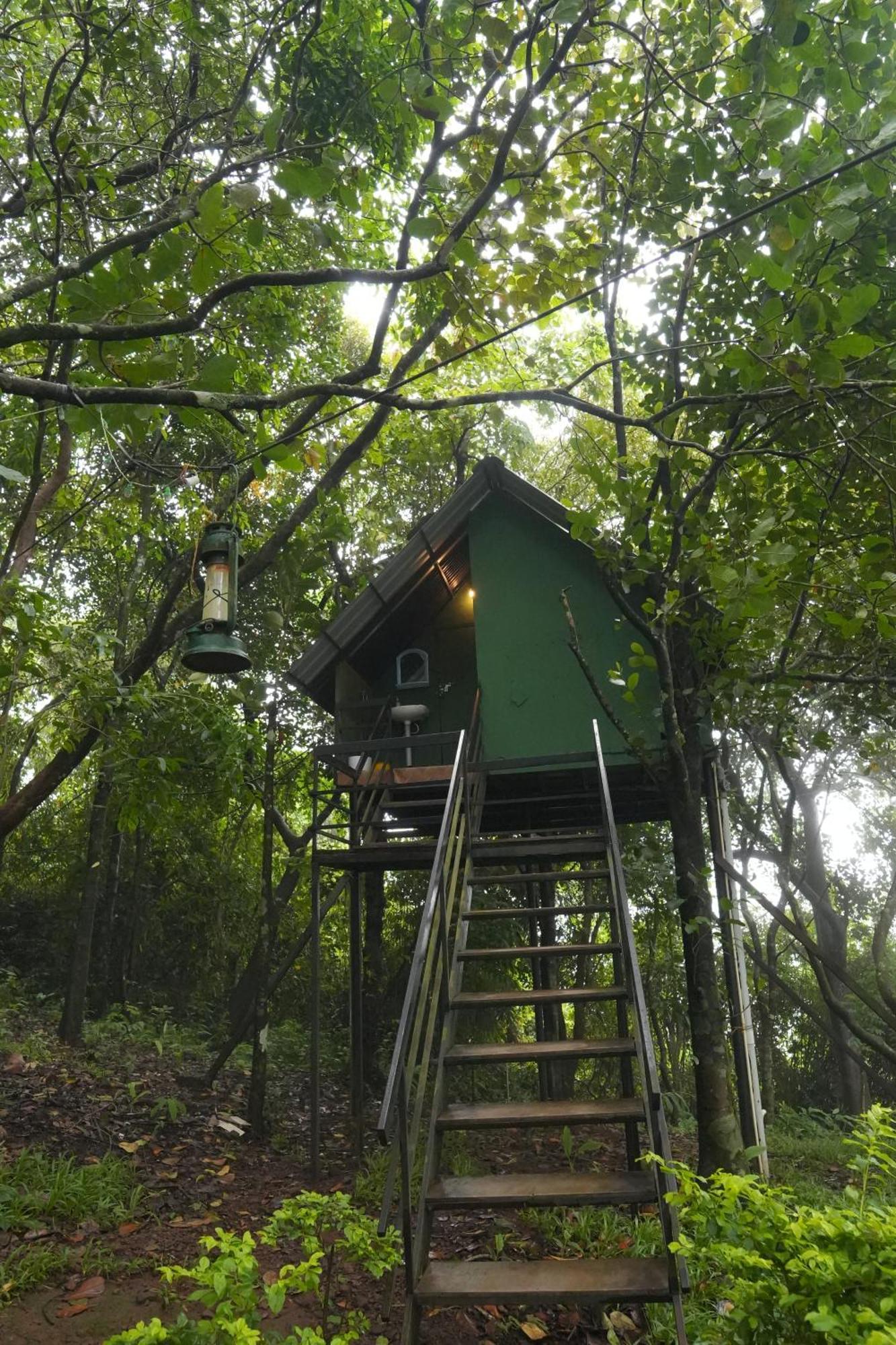 Regina Silva Camping & Nature Resort Paithalmala Kültér fotó
